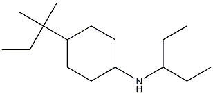 4-(2-methylbutan-2-yl)-N-(pentan-3-yl)cyclohexan-1-amine,,结构式