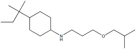 4-(2-methylbutan-2-yl)-N-[3-(2-methylpropoxy)propyl]cyclohexan-1-amine Struktur