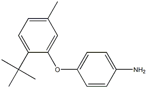 4-(2-tert-butyl-5-methylphenoxy)aniline Struktur