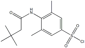 4-(3,3-dimethylbutanamido)-3,5-dimethylbenzene-1-sulfonyl chloride 结构式