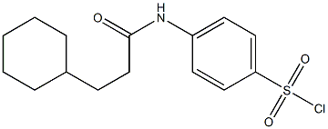 4-(3-cyclohexylpropanamido)benzene-1-sulfonyl chloride Struktur