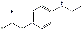  4-(difluoromethoxy)-N-(propan-2-yl)aniline