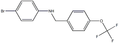 4-bromo-N-{[4-(trifluoromethoxy)phenyl]methyl}aniline Struktur