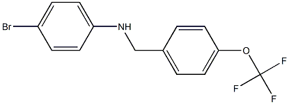 4-bromo-N-{[4-(trifluoromethoxy)phenyl]methyl}aniline 结构式