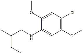 4-chloro-2,5-dimethoxy-N-(2-methylbutyl)aniline,,结构式