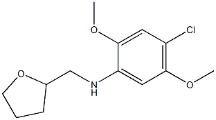 4-chloro-2,5-dimethoxy-N-(oxolan-2-ylmethyl)aniline