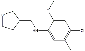 4-chloro-2-methoxy-5-methyl-N-(oxolan-3-ylmethyl)aniline Structure