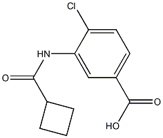  4-chloro-3-[(cyclobutylcarbonyl)amino]benzoic acid