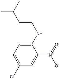 4-chloro-N-(3-methylbutyl)-2-nitroaniline Struktur
