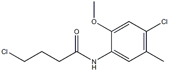 4-chloro-N-(4-chloro-2-methoxy-5-methylphenyl)butanamide