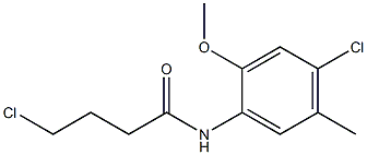 4-chloro-N-(4-chloro-2-methoxy-5-methylphenyl)butanamide Structure