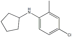 4-chloro-N-cyclopentyl-2-methylaniline,,结构式