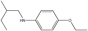 4-ethoxy-N-(2-methylbutyl)aniline Structure