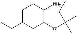 4-ethyl-2-[(2-methylbutan-2-yl)oxy]cyclohexan-1-amine Structure