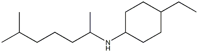 4-ethyl-N-(6-methylheptan-2-yl)cyclohexan-1-amine Structure