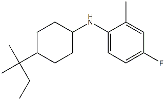 4-fluoro-2-methyl-N-[4-(2-methylbutan-2-yl)cyclohexyl]aniline Struktur