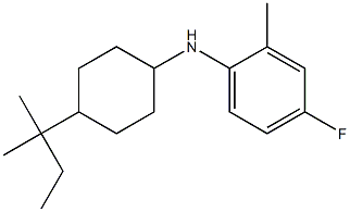 4-fluoro-2-methyl-N-[4-(2-methylbutan-2-yl)cyclohexyl]aniline Structure