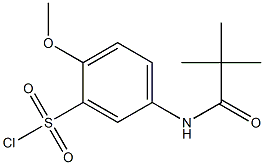 5-(2,2-dimethylpropanamido)-2-methoxybenzene-1-sulfonyl chloride