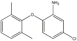 5-chloro-2-(2,6-dimethylphenoxy)aniline|