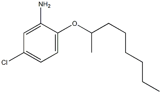 5-chloro-2-(octan-2-yloxy)aniline Struktur