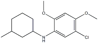 5-chloro-2,4-dimethoxy-N-(3-methylcyclohexyl)aniline,,结构式