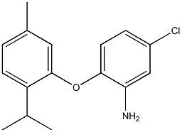 5-chloro-2-[5-methyl-2-(propan-2-yl)phenoxy]aniline,,结构式