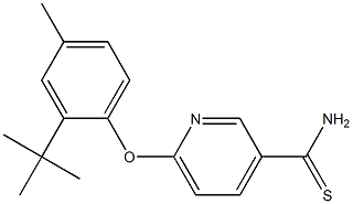 6-(2-tert-butyl-4-methylphenoxy)pyridine-3-carbothioamide,,结构式