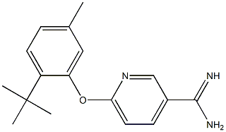 6-(2-tert-butyl-5-methylphenoxy)pyridine-3-carboximidamide Struktur