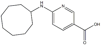 6-(cyclooctylamino)pyridine-3-carboxylic acid,,结构式