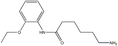 6-amino-N-(2-ethoxyphenyl)hexanamide|