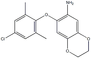 7-(4-chloro-2,6-dimethylphenoxy)-2,3-dihydro-1,4-benzodioxin-6-amine,,结构式