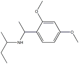 butan-2-yl[1-(2,4-dimethoxyphenyl)ethyl]amine,,结构式