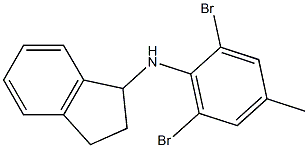 N-(2,6-dibromo-4-methylphenyl)-2,3-dihydro-1H-inden-1-amine Struktur