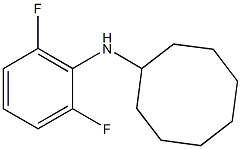 N-(2,6-difluorophenyl)cyclooctanamine Struktur