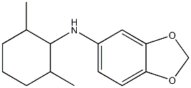 N-(2,6-dimethylcyclohexyl)-2H-1,3-benzodioxol-5-amine 结构式