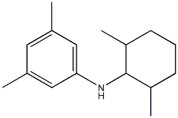 N-(2,6-dimethylcyclohexyl)-3,5-dimethylaniline Structure