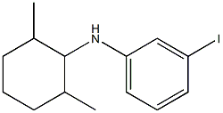 N-(2,6-dimethylcyclohexyl)-3-iodoaniline Struktur