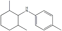 N-(2,6-dimethylcyclohexyl)-4-methylaniline 结构式