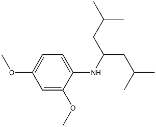 N-(2,6-dimethylheptan-4-yl)-2,4-dimethoxyaniline Structure