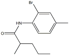 N-(2-bromo-4-methylphenyl)-2-methylpentanamide Struktur