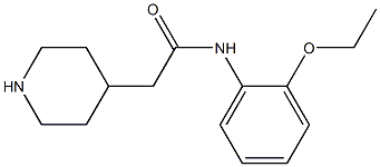 N-(2-ethoxyphenyl)-2-piperidin-4-ylacetamide 结构式