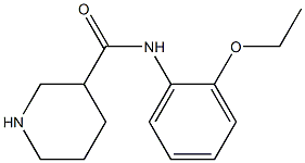 N-(2-ethoxyphenyl)piperidine-3-carboxamide Struktur