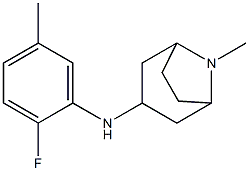 N-(2-fluoro-5-methylphenyl)-8-methyl-8-azabicyclo[3.2.1]octan-3-amine