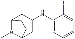N-(2-iodophenyl)-8-methyl-8-azabicyclo[3.2.1]octan-3-amine Struktur