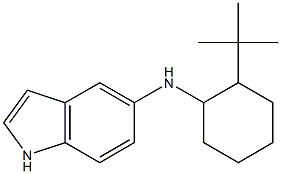 N-(2-tert-butylcyclohexyl)-1H-indol-5-amine Structure