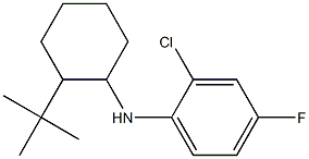 N-(2-tert-butylcyclohexyl)-2-chloro-4-fluoroaniline Structure