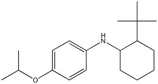 N-(2-tert-butylcyclohexyl)-4-(propan-2-yloxy)aniline Structure