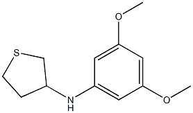 N-(3,5-dimethoxyphenyl)thiolan-3-amine