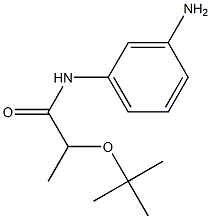 N-(3-aminophenyl)-2-(tert-butoxy)propanamide Struktur