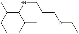 N-(3-ethoxypropyl)-2,6-dimethylcyclohexan-1-amine Structure